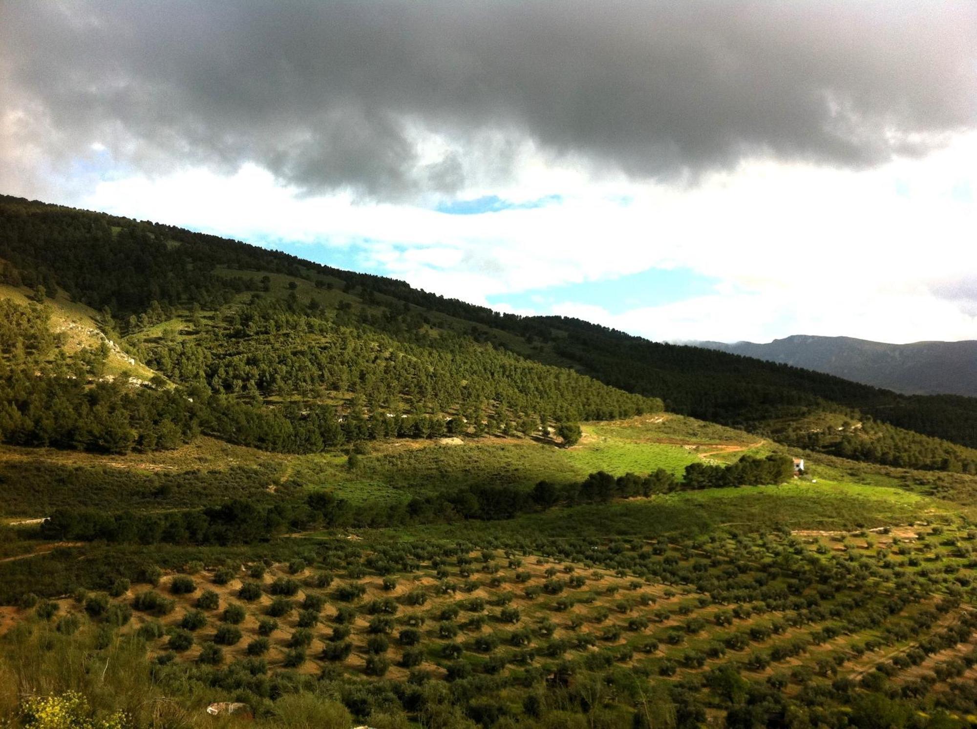 Casa Dehesa San Cristobal, Jaen Villa ภายนอก รูปภาพ