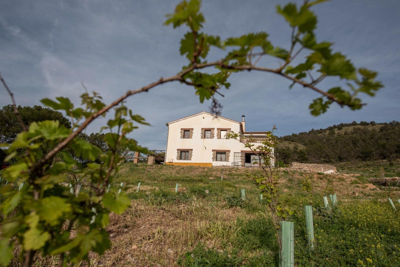 Casa Dehesa San Cristobal, Jaen Villa ภายนอก รูปภาพ